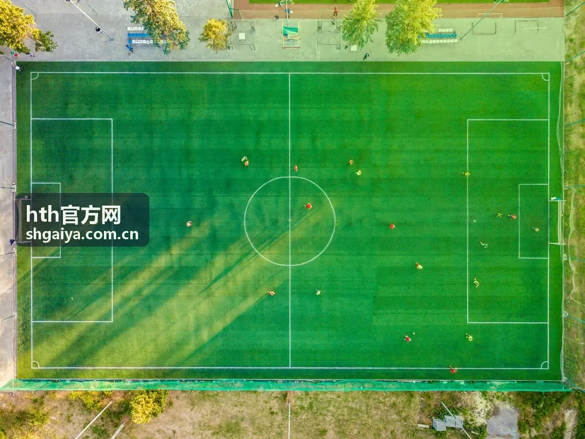 hth官方网官方信息获取服务示意图