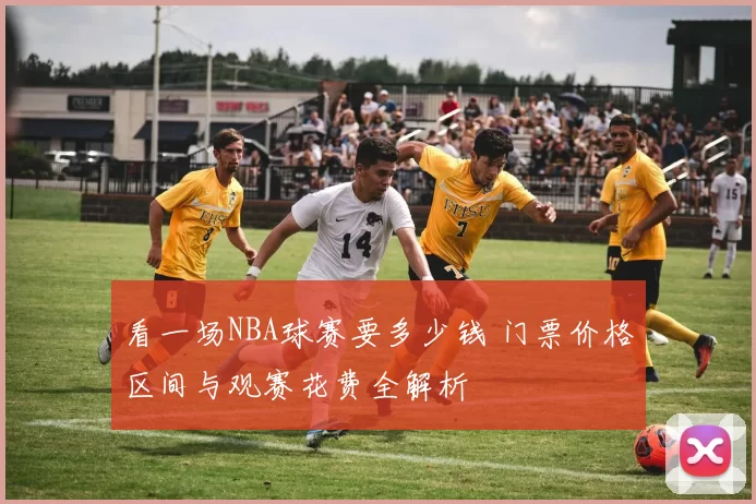 看一场NBA球赛要多少钱 门票价格区间与观赛花费全解析