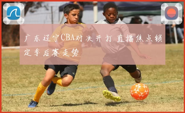 广东辽宁CBA对决开打 直播焦点锁定季后赛走势