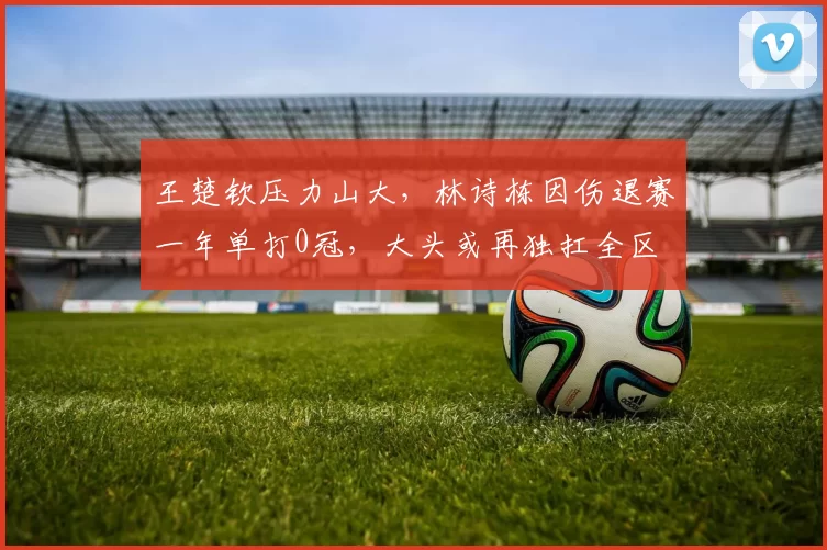 王楚钦压力山大，林诗栋因伤退赛一年单打0冠，大头或再独扛全区
