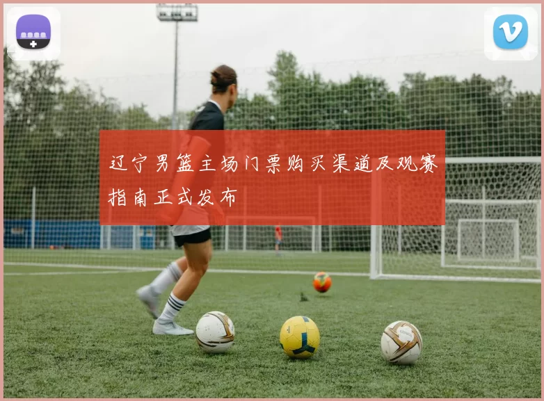 辽宁男篮主场门票购买渠道及观赛指南正式发布