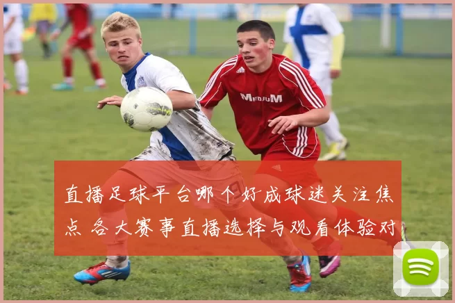 直播足球平台哪个好成球迷关注焦点 各大赛事直播选择与观看体验对比