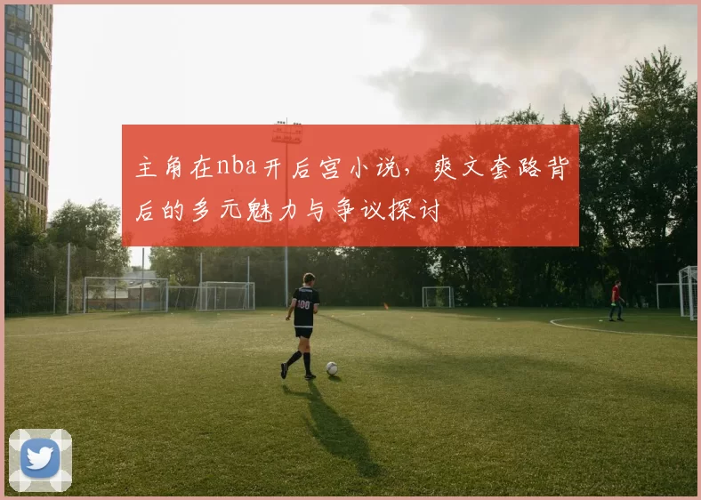 主角在nba开后宫小说，爽文套路背后的多元魅力与争议探讨